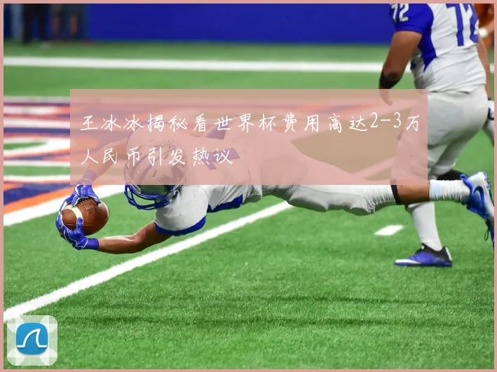 王冰冰揭秘看世界杯费用高达2-3万人民币引发热议